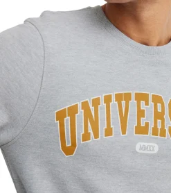 Pullover & Sweater*11 PROJECT Davin Herren Sweater mit UNIVERSITY Frontprint Baumwoll-Sweatshirt 20715943 200274 Grau