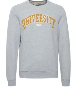 Pullover & Sweater*11 PROJECT Davin Herren Sweater mit UNIVERSITY Frontprint Baumwoll-Sweatshirt 20715943 200274 Grau