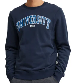 Pullover & Sweater*11 PROJECT Davin Herren Sweater mit UNIVERSITY Frontprint Baumwoll-Sweatshirt 20715943 in Dunkelblau, Grau oder Blau