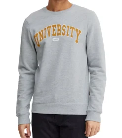 Pullover & Sweater*11 PROJECT Davin Herren Sweater mit UNIVERSITY Frontprint Baumwoll-Sweatshirt 20715943 in Dunkelblau, Grau oder Blau