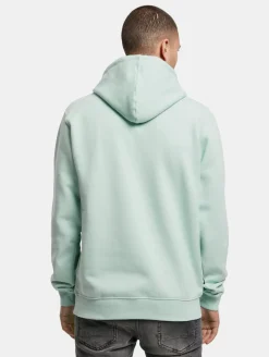 Pullover & Sweater*CAYLER & SONS  Plain Hoodies Vogeleigrün