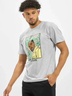 T-Shirts & Tank Tops*CAYLER & SONS  WL Northern Lines Tee hellgrau/mc