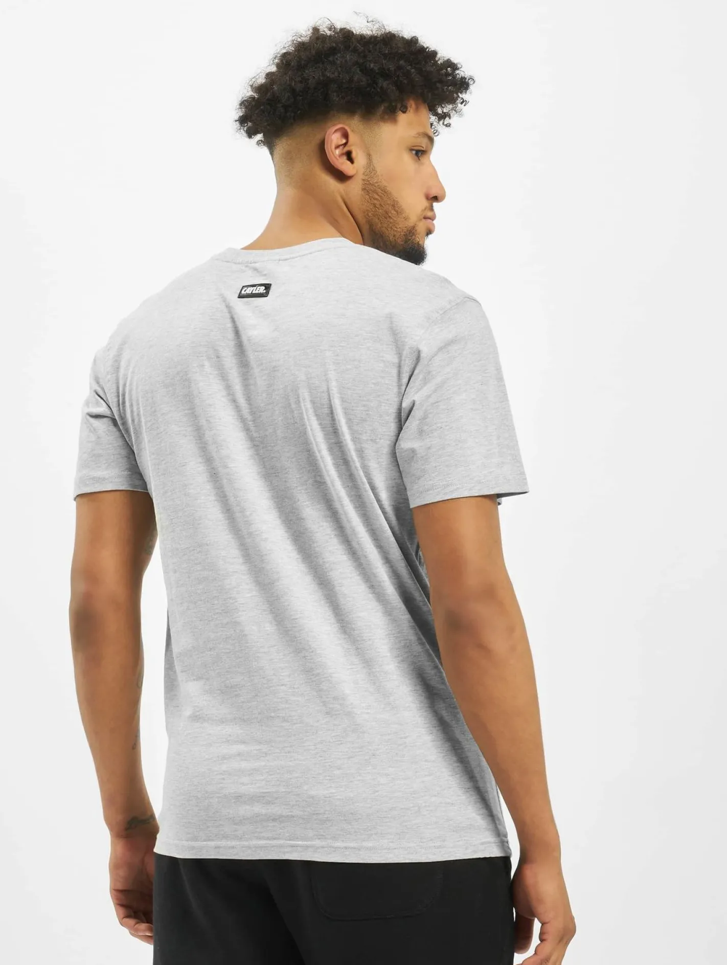 T-Shirts & Tank Tops*CAYLER & SONS WL Northern Lines Tee hellgrau/mc