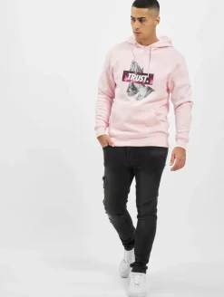 Pullover & Sweater*CAYLER & SONS WL Space Trust Hoody blassrosa/mc