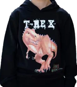 Pullover & Sweater*DINO WORLD Kinder Pullover für Jungen Baumwoll-Hoodie mit Dino-Print Kapuzen-Pullover Sweatshirt 27303360 Schwarz