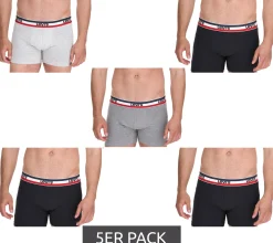 Unterwäsche|Boxershorts*LEVI´S 5er Pack LEVI`S Herren Boxershorts Baumwoll-Unterwäsche mit farblichen Akzenten am Bund 701224335 Schwarz/Grau