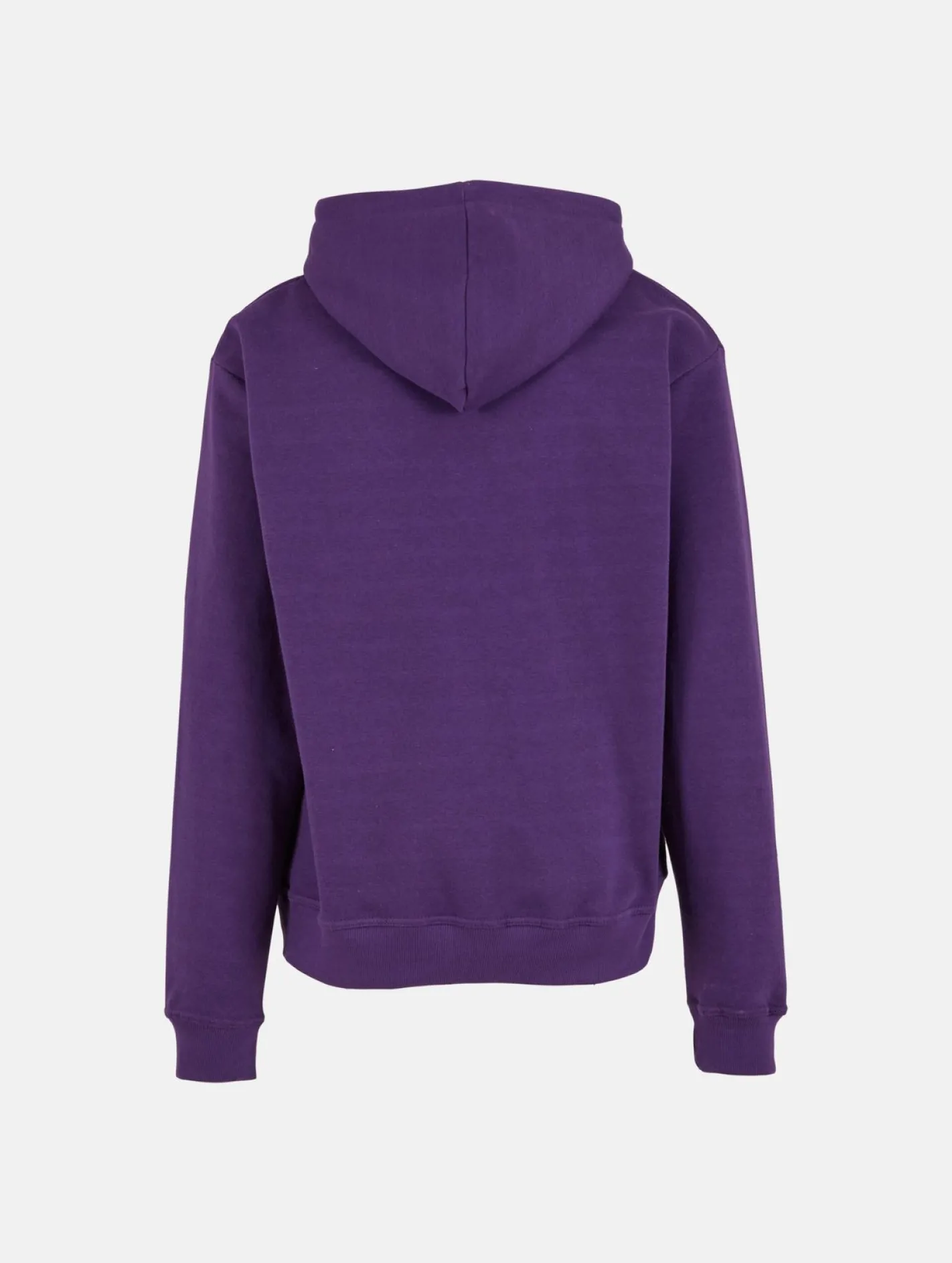 Pullover & Sweater*European League Of Football Blanko Zip Hoodies Tillandsia Lila