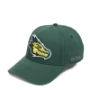 Caps & Mützen*European League Of Football Barcelona Dragons Snapback Cap grün