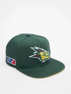 Caps & Mützen*European League Of Football Barcelona Dragons Snapback Cap grün