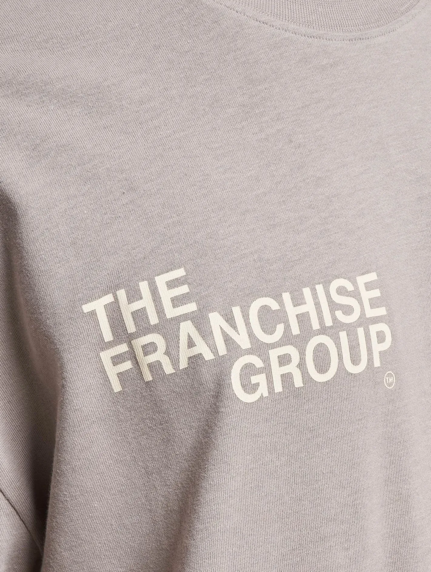 T-Shirts & Tank Tops*Franchise Corporate T-Shirt grau