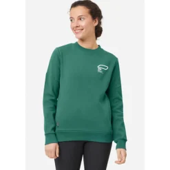 Sweater & Pullover*Looking for Wild Damen Pullover Bosson Pullover Grün