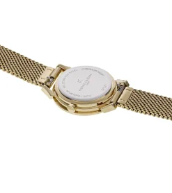 Damenuhren|Damenuhren*Pierre Cardin Damen Armband-Uhr schlichtes Ziffernblatt analoge Quarz-Uhr mit Edelstahl-Armband 3ATM 27mm CPI.25 Schwarz/Gold oder Gold