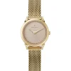 Damenuhren|Damenuhren*Pierre Cardin Damen Armband-Uhr schlichtes Ziffernblatt analoge Quarz-Uhr mit Edelstahl-Armband 3ATM 27mm CPI.2522 Gold