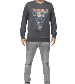 Pullover & Sweater*RE:COVERED X Jurassic Park Herren Rundhals-Pullover mit 窶寂撒-Rex 1993 Vintage-Print Langarm-Shirt Sweat-Shirt MMUNV1960 Dunkel-Grau