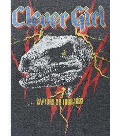 Pullover & Sweater*RE:COVERED X Jurassic Park Herren Rundhals-Pullover mit 窶寂撒-Rex 1993 oder Raptors on Tour 1993 Vintage-Print Langarm-Shirt Sweat-Shirt MMUNV1960 Dunkel-Grau