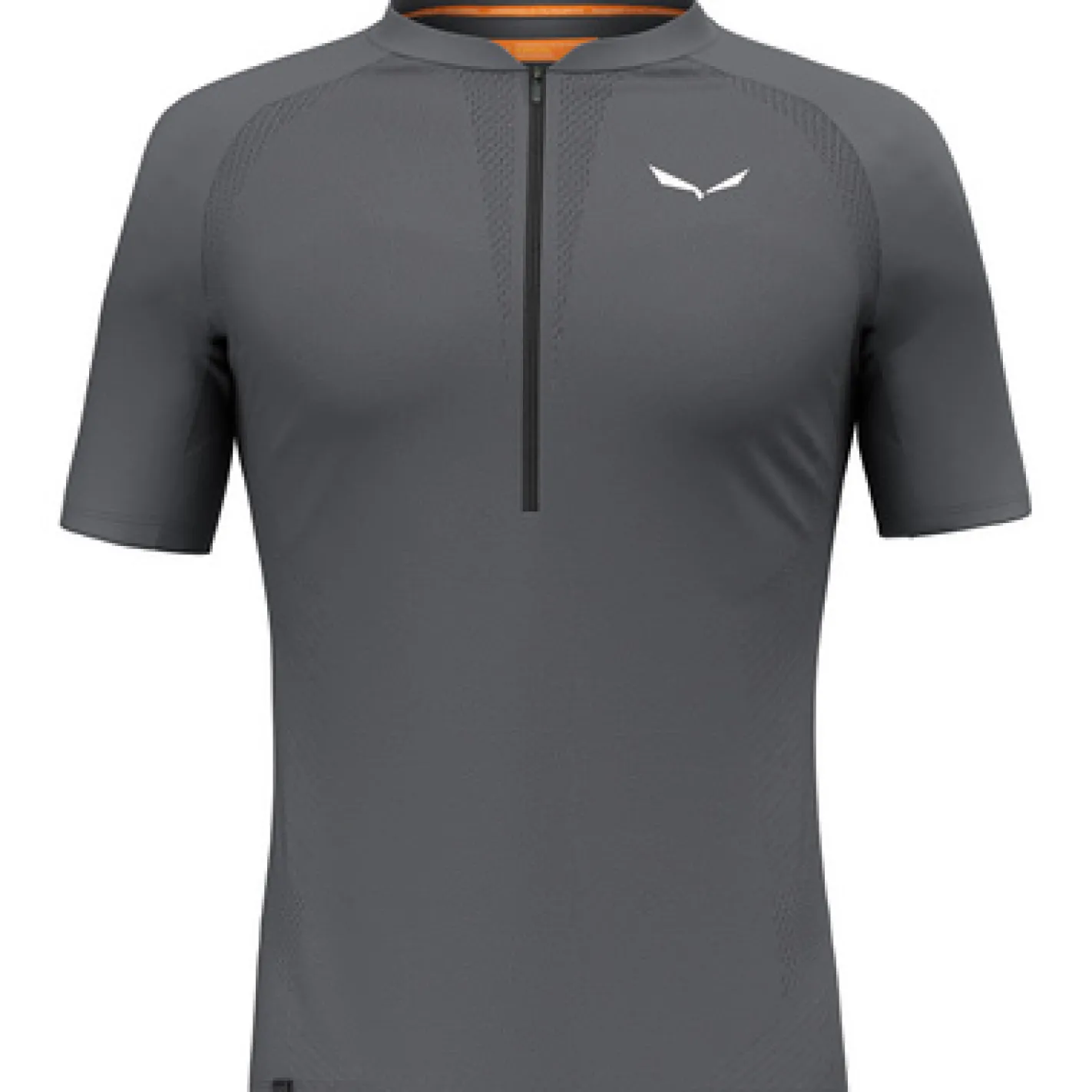 T-Shirts & Tank Tops*Salewa Herren T-Shirts Pedroc Pro Dry Half Zip T-Shirt Mehrfarbig