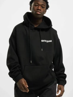 Pullover & Sweater*Sixth June Basic Logo Hoodie schwarz