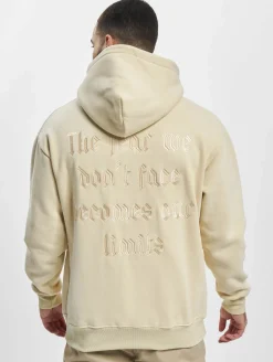 Pullover & Sweater*Sixth June Limits Hoodie beige