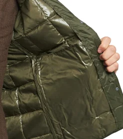 Jacken & Mäntel*TAION Herren 800 FLP Daunen-Jacke mit Knopfverschluss Stepp-Jacke stylische Outdoor-Jacke Grün