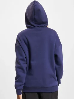 Sweater & Pullover*TheJoggConcept Sage Hoodies mittelalterlich blau