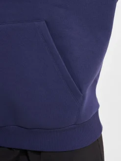 Sweater & Pullover*TheJoggConcept Sage Hoodies mittelalterlich blau