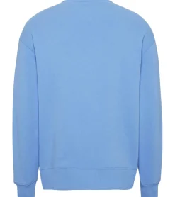 Pullover & Sweater*TOMMY JEANS Herren Rundhals-Pullover Langarm-Shirt Baumwoll-Pullover Sweat-Pullover DM0DM16370 CY7 Hellblau