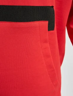 Pullover & Sweater*vsct Kapuzenpullover mit großem Aufdruck rot